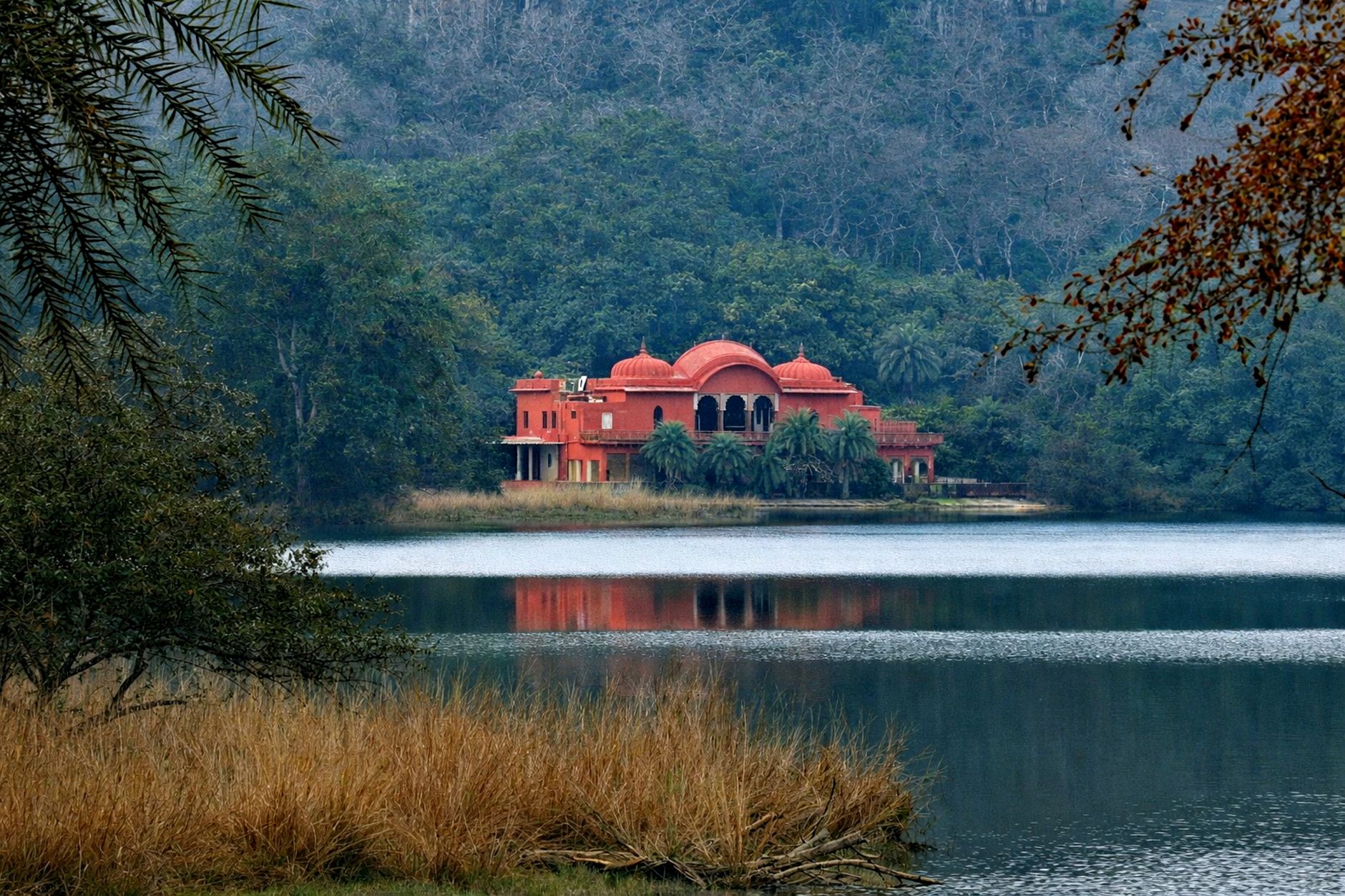 Brij Tara hotel Ranthambore